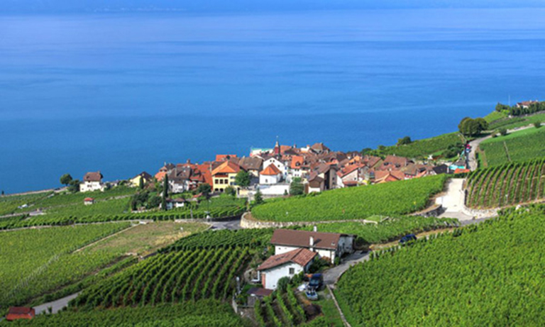 スイス・ワインの産地 “ラ・ヴォー”