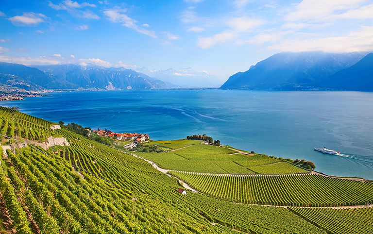 壮麗な景観が見事なラヴォーの葡萄畑